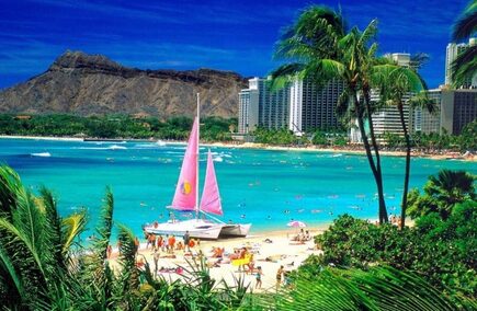 Reviews of Electricians in the state of Hawaii