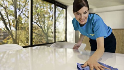 Reviews of House cleaning services in USA